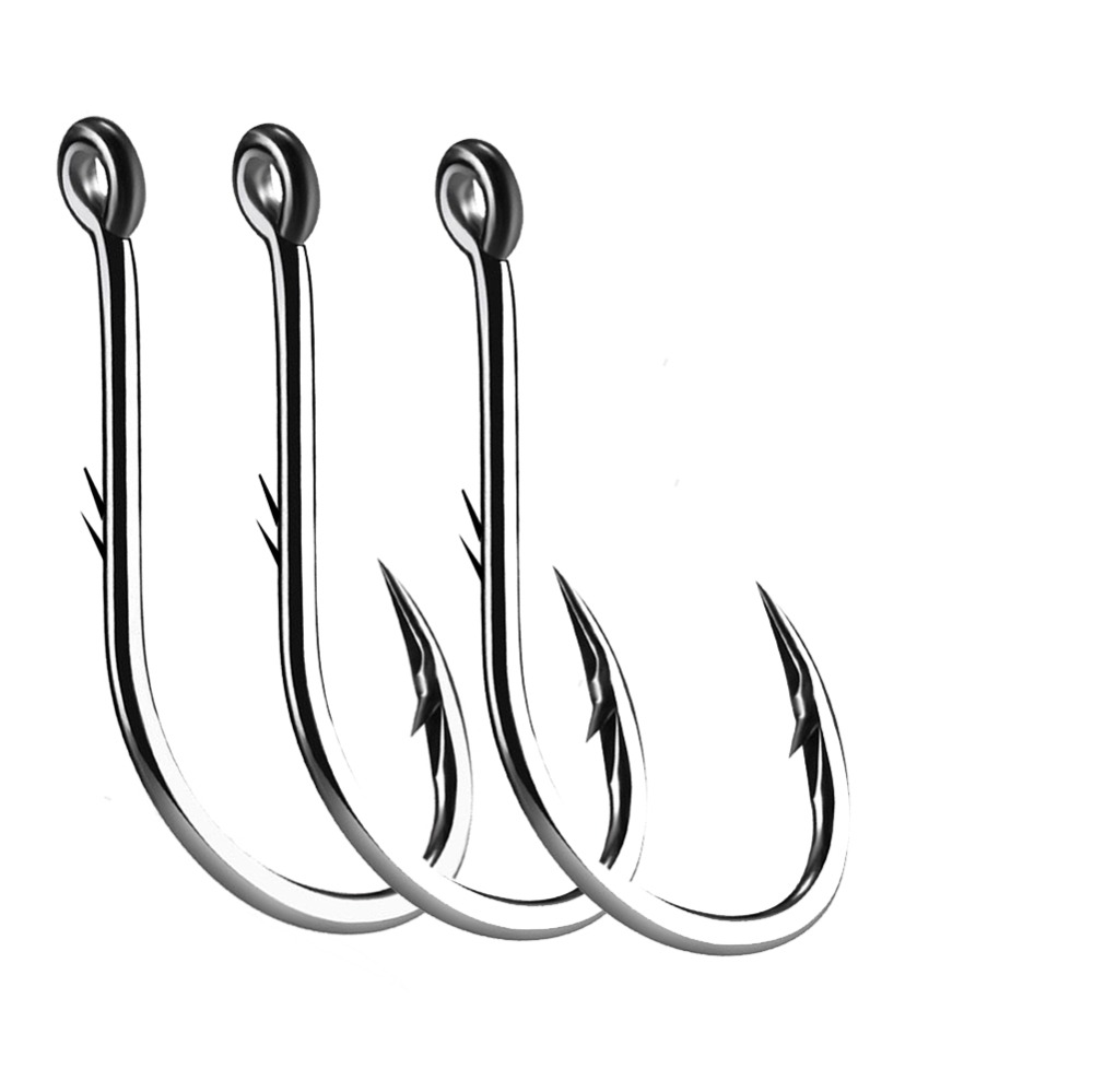 Fishing Hook Assortment - Iseama-Hameçon de pêche à la carpe